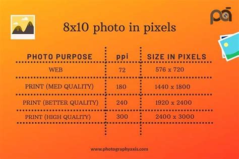 How Big Is An 8×10 Photoinch Cm Mm Ft Pixels Photographyaxis