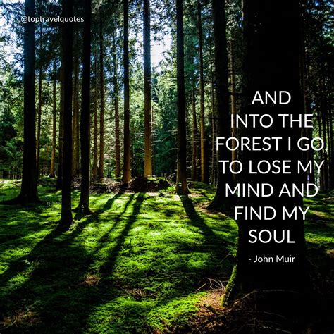 And Into The Forest I Go To Lose My Mind And Find My Soul John