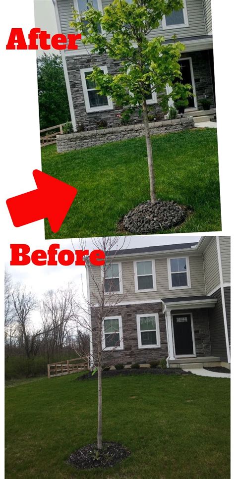 Tree base flower bed with rocks. Flower bed idea with black lava rock landscape around the ...