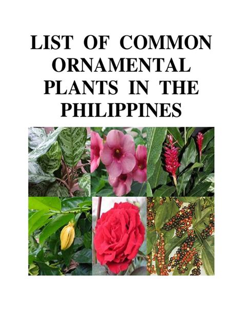 List Of Common Ornamental Plants In The Philippines