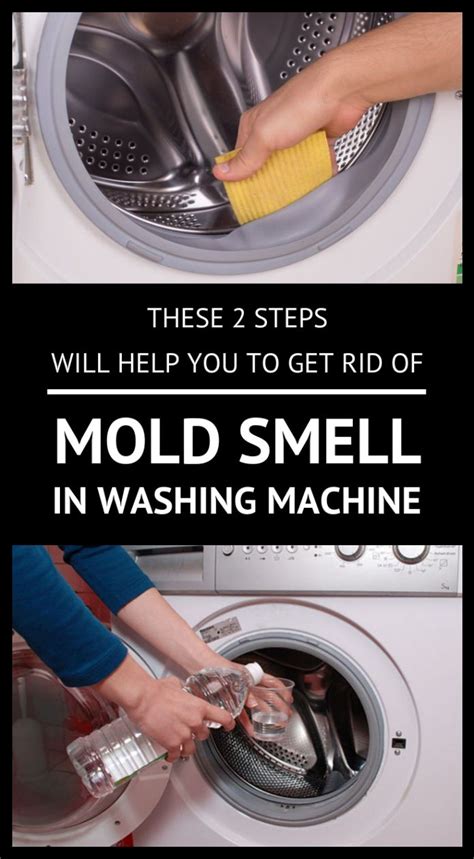 Maybe you would like to learn more about one of these? These 2 Steps Will Help You To Get Rid Of Mold Smell In ...