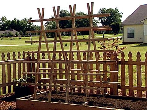 Check spelling or type a new query. Build your own teepee trellis for your zucchini plants ...