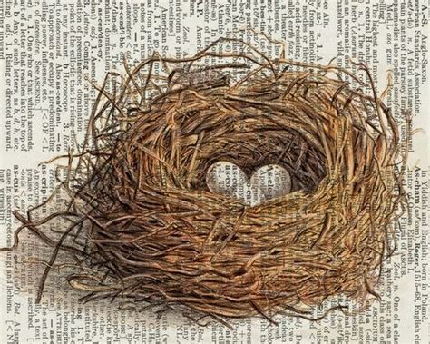 Vintage Bird Nest Artwork With Three Eggs Printed On Page From Old