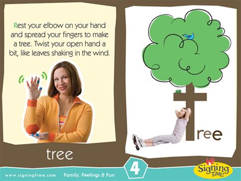 Learn How To Sign Tree In Asl Signingtime Dictionary