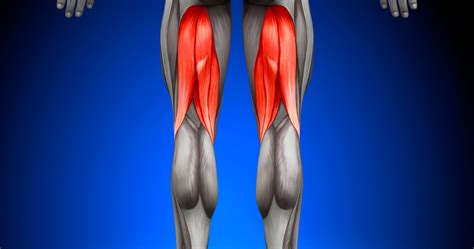Hamstring Tendonitis Advanced Chiropractic Spine And Sports Medicine