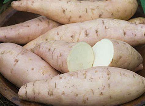 Диета сладкий картофель Купить семена Батат или Сладкий картофель Sweet Potato Bonita в Москве Купить семена Батат или Сладкий картофель Sweet Potato Bonita в Москве Диета сладкий картофель