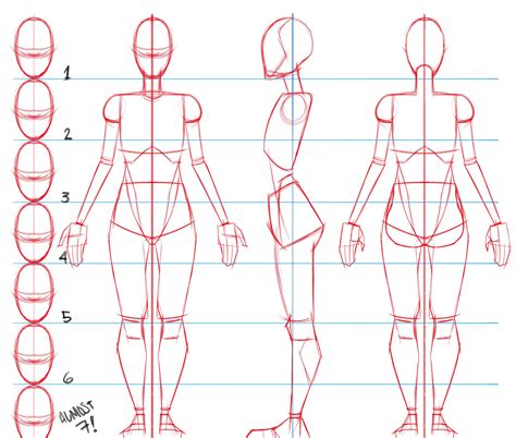 This Is An Awesome Drawing Guide By Renecordova You Can Use It When Drawing The Human Fema
