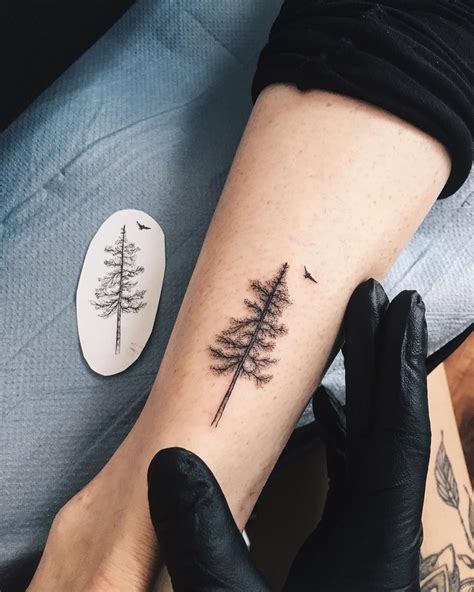 Cedar Tree Tattoo Small Best Tattoo Ideas