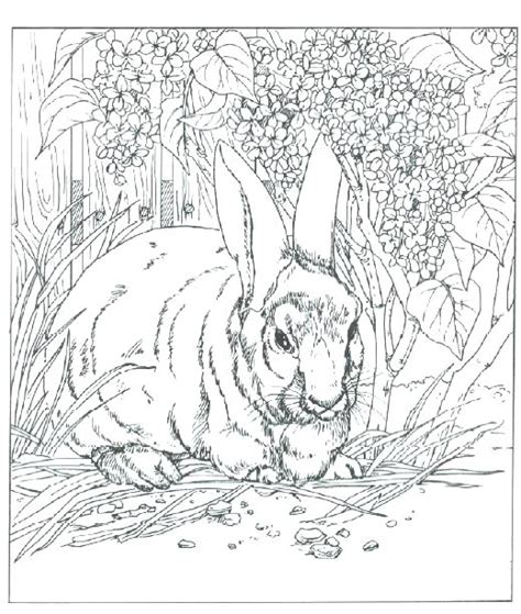 Hard Pages Realistic Animals Coloring Pages