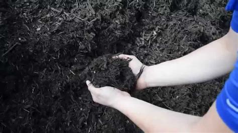 901 frank sottile blvd, kingston, ny 12401, usa. Bulk Dark Hardwood Mulch for Sale NJ & NY | Best Prices ...