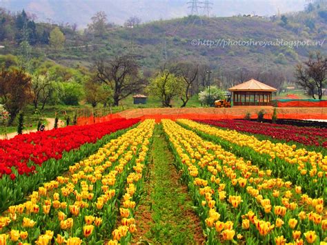 Gambar 12 Foto Taman Bunga Indah Cantik Dunia Inilah Gambar Keindahan