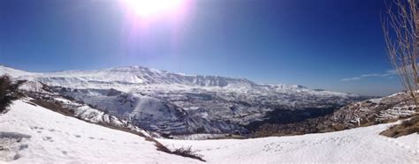 The Cedars And North Lebanons Mountains A Separate State Of Mind A