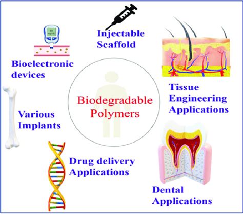 Different Types Of Biomedical Applications Of Biopolymers Download