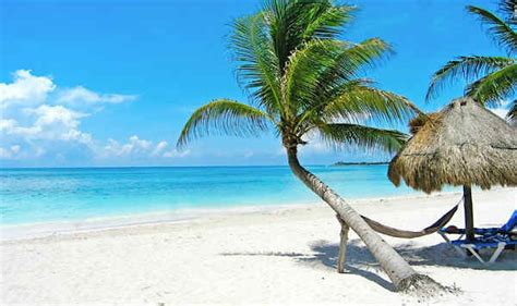 Opciones Para Visitar En Playa Del Carmen Las Mejores Playas En El Mundo