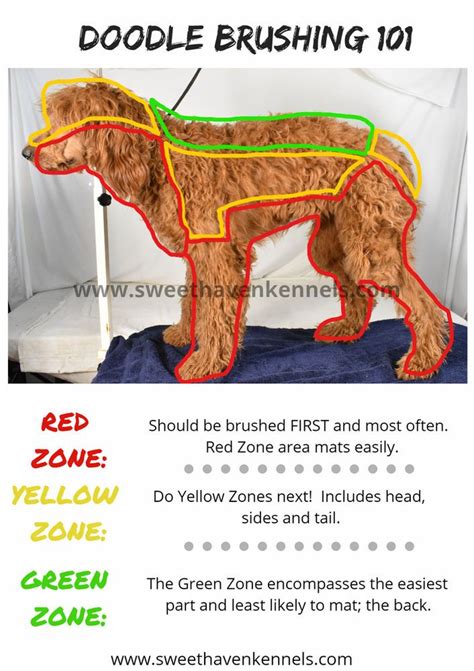 Grooming Charts For Dogs