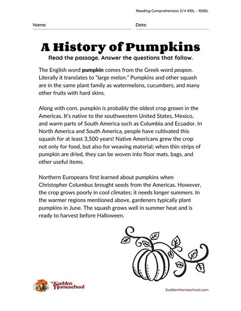 Halloween Reading Comprehension Grades 2 And 3 Worksheets