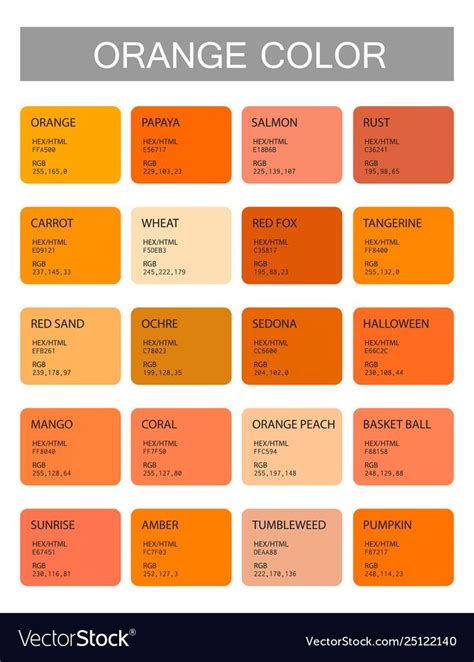 Orange Color Codes And Names Selection Colors Vector Image On