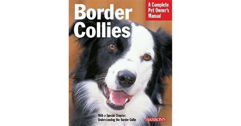 Border Collies Everything About Purchase Care Nutrition Behavior