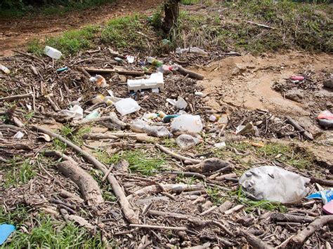 Shocking Photos Show Caribbean Sea Being Choked To Death By Human