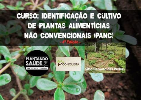 Curso Identificação E Cultivo De Plantas Alimentícias Não Convencionais Em Porto Alegre 2024