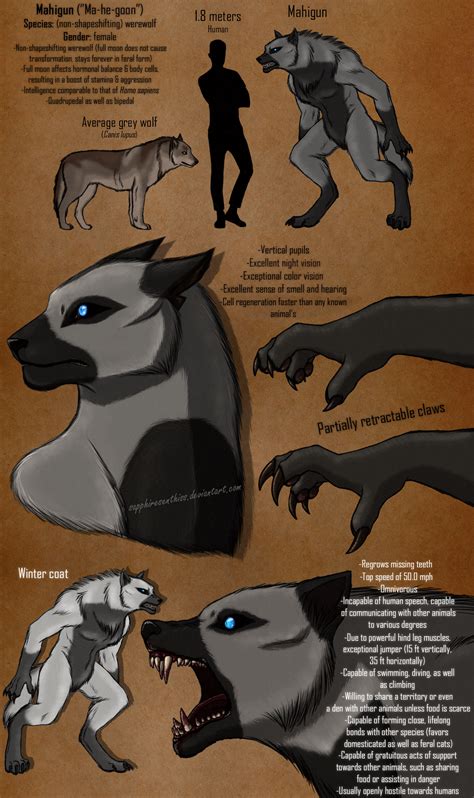 Mahigun The Werewolf Sketchdump By Sapphiresenthiss On Deviantart