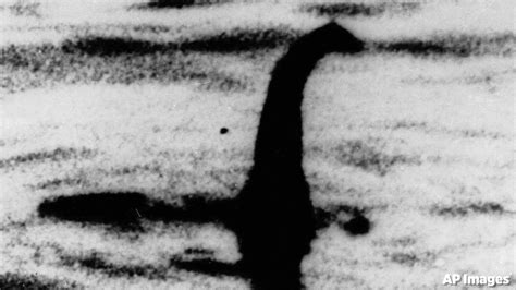 Scientists Have A New Theory About What The Loch Ness Monster Really Is