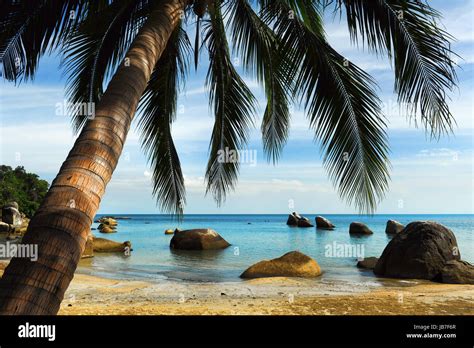 Tropical Beach Thailand Stock Photo Alamy