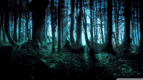 Night Time Forest Wallpapers Top Free Night Time Forest Backgrounds