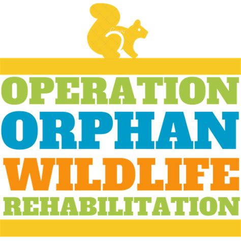 Rehabilitating Orphan And Injured Wildlife Since 1962