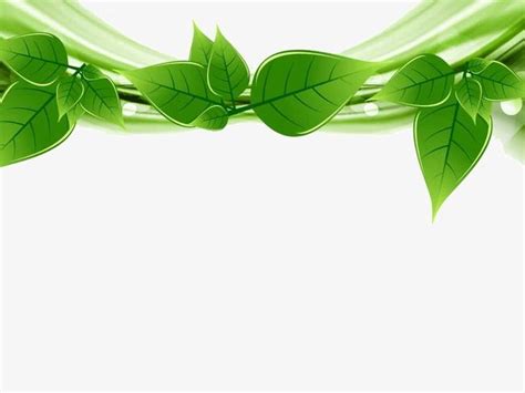 Green Leaf Background Ppt Png Images Green Leaf Ppt Background Png