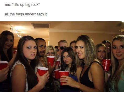 Me Lifts Up Big Rock All The Bugs Underneath It Awkward Party Reaction Know Your Meme