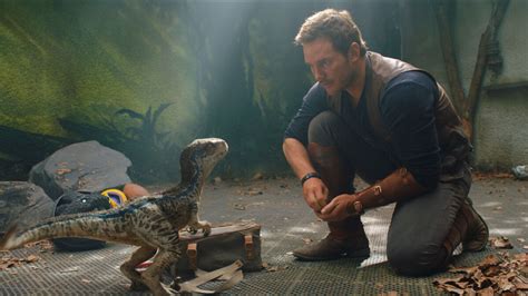 5 Reasons You Know The Love Is Real Between Owen And Blue In ‘jurassic World’ Fandom