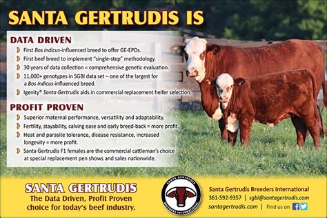 National Ad Campaign Santa Gertrudis Breeders International
