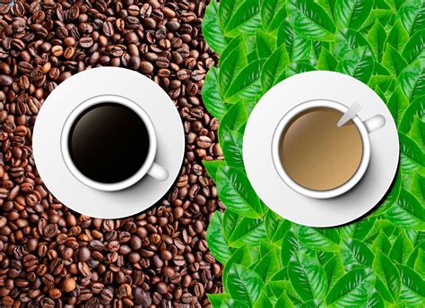 Té verde o café: ¿Qué es mejor para tu organismo?