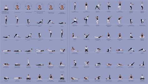 11 Hatha Yoga Relaxation Poses Yoga Poses