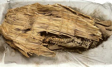 Oldest Mummy Found In America 10600 Years Old Hubpages