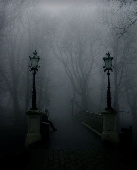 Gothic Forest Bing Images Dark Photography Mists Dark Places