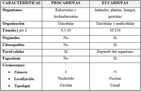 Diferencias Entre C Lulas Procariotas Y Eucariotas Saber Es Pr Ctico