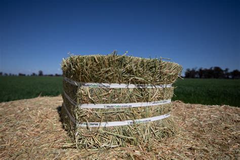 Compressed Hay Bales Multicube Hay And Cube