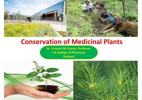 Conservation Of Medicinal Plants In India