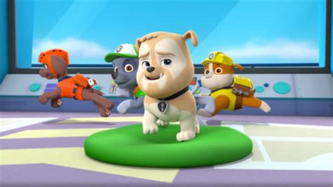 Look Out Adventure Bay Comedian Jim Gaffigan Joins Paw Patrol Marketwatch