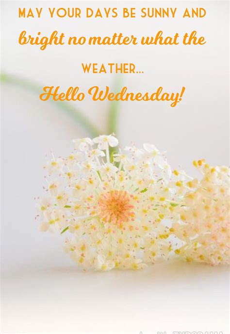 Hello Wednesday Wednesday Quotes Wednesday Hump Day Good Morning