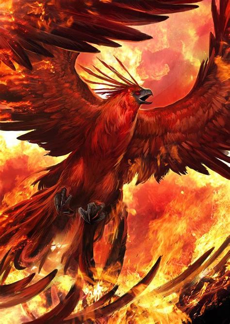 Phönix Tierform Phoenix Wallpaper Phoenix Artwork Phoenix Images
