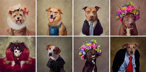 These Stylish Shelter Dog Portraits Are The Best Things Youll See All