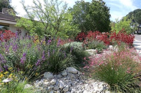 38 Best Drought Tolerant Plants That Grow In Lack Of Water California