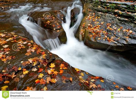 Waterfall And Autumn Leaves Stock Image Image Of Motion