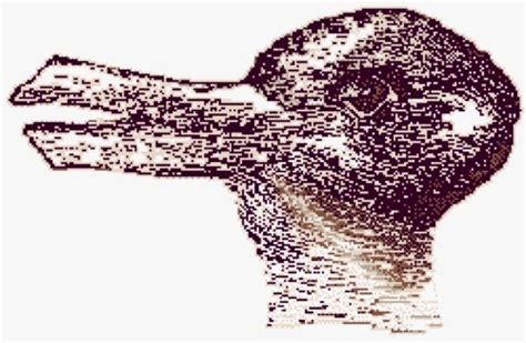 Hare Or Duck Optical Illusions Pictures Optical Illusions Cool