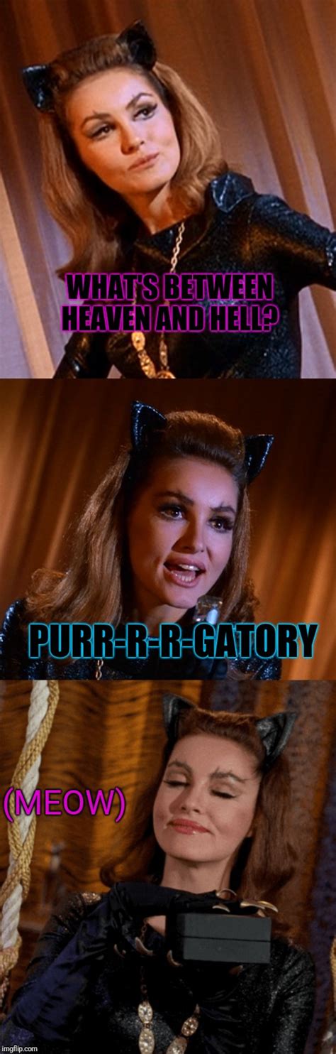 Bad Pun Catwoman Imgflip