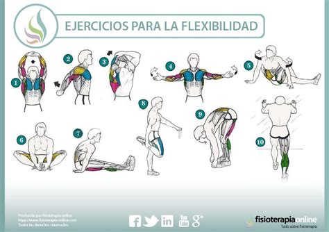 Ejercicios Para Mejorar Tu Flexibilidad Y Cuidar Tu Salud Fisioonline