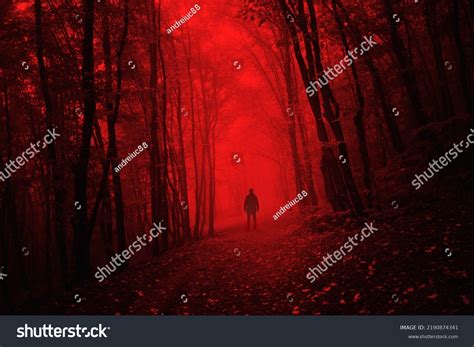 Man Dark Scary Forest On Halloween Stock Photo 2190874341 Shutterstock